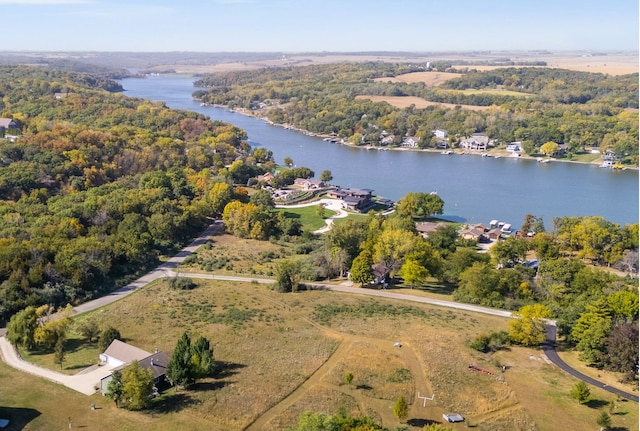 bird's eye view with a water view and a forest view