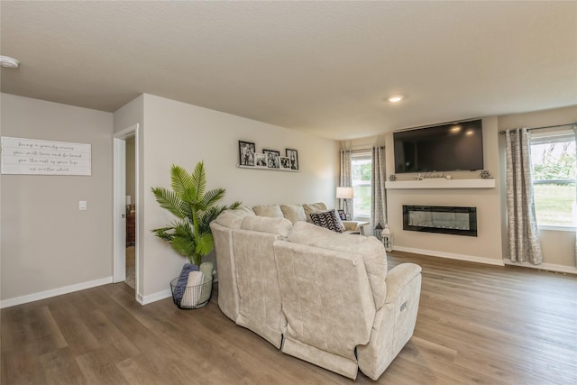 living room featuring a healthy amount of sunlight, wood finished floors, and a glass covered fireplace