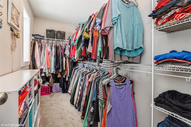 walk in closet with carpet flooring