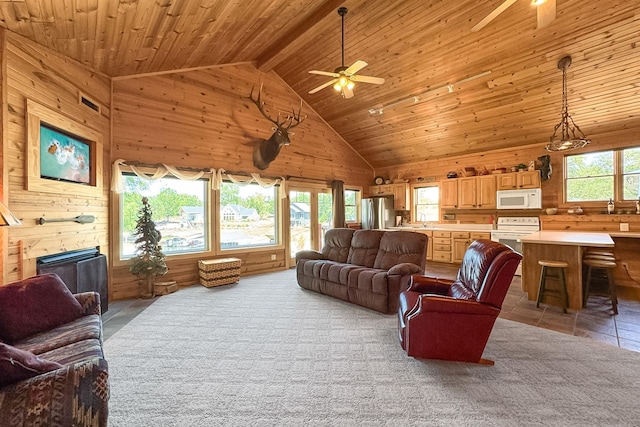 living area with plenty of natural light, wooden ceiling, a fireplace, and wood walls