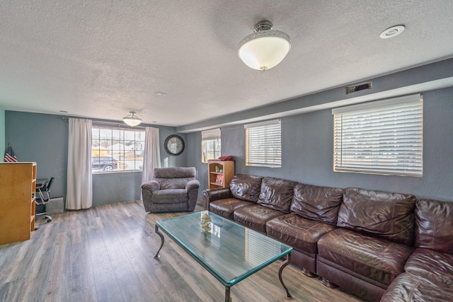 living room with a healthy amount of sunlight, a textured ceiling, and wood finished floors