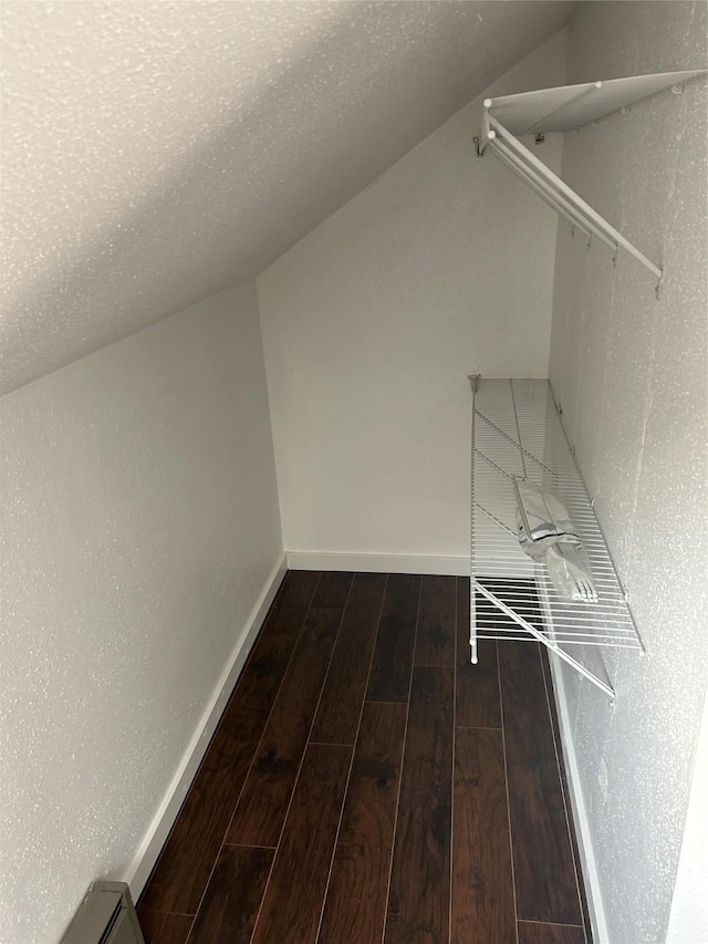 spacious closet featuring lofted ceiling and wood finished floors