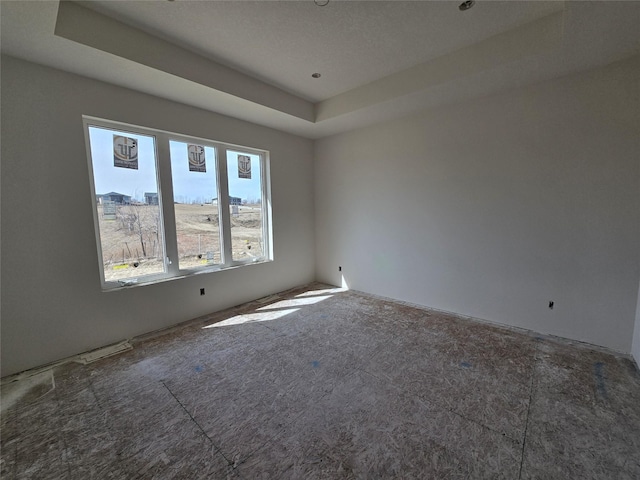 unfurnished room with a tray ceiling