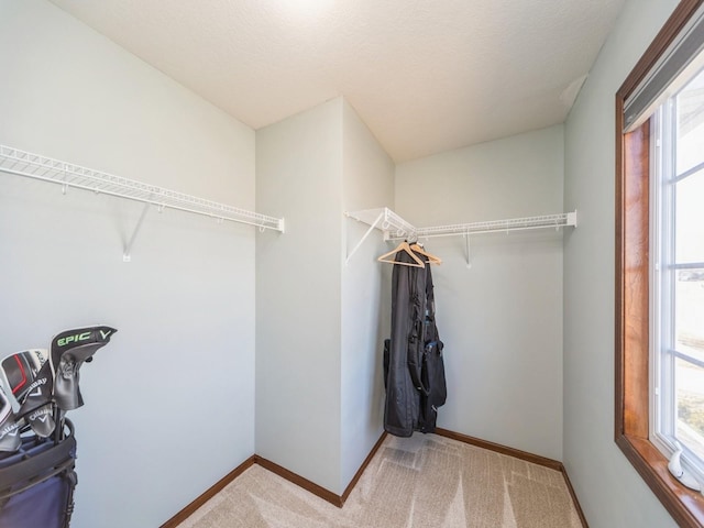 604 NW 8th St, Grimes, IA 50111 - walk in closet featuring light carpet
