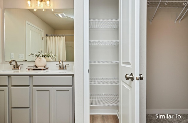 bathroom with a walk in closet, visible vents, a sink, and double vanity