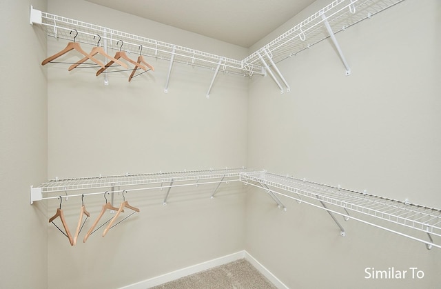 spacious closet featuring carpet floors