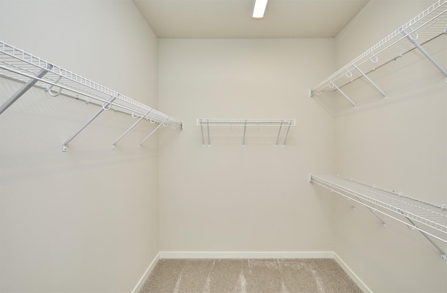 spacious closet featuring light carpet