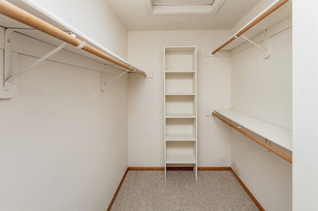 walk in closet featuring attic access and light carpet