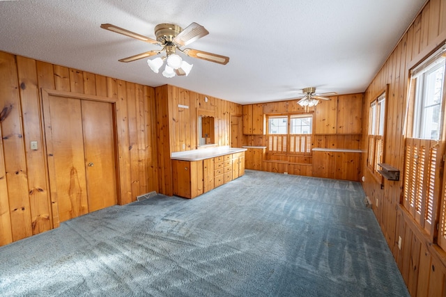 kitchen with carpet, plenty of natural light, and wooden walls