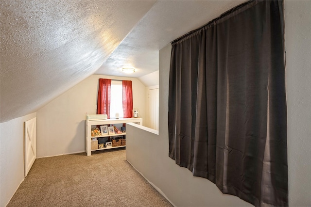 additional living space featuring lofted ceiling, carpet flooring, and a textured ceiling