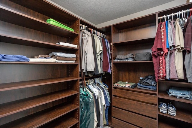 view of walk in closet