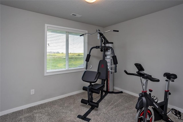1214 NW 3rd St, Grimes, IA 50111 - photo 14