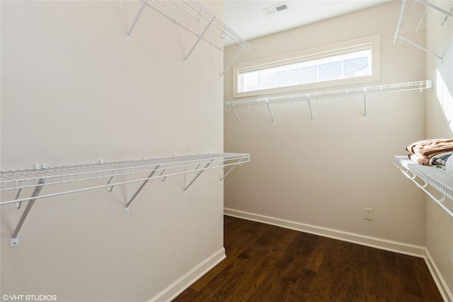 walk in closet with visible vents and dark wood-type flooring