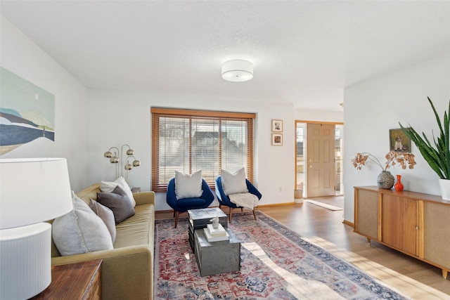 365 Williamson Ct, Pleasant Hill, IA 50327 - living room with light wood-style flooring and baseboards