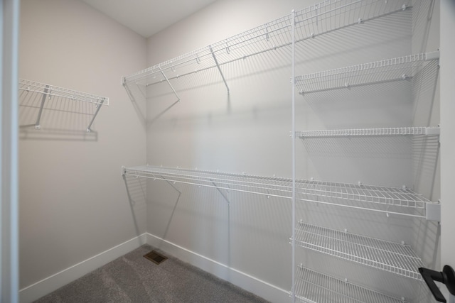 spacious closet with carpet and visible vents