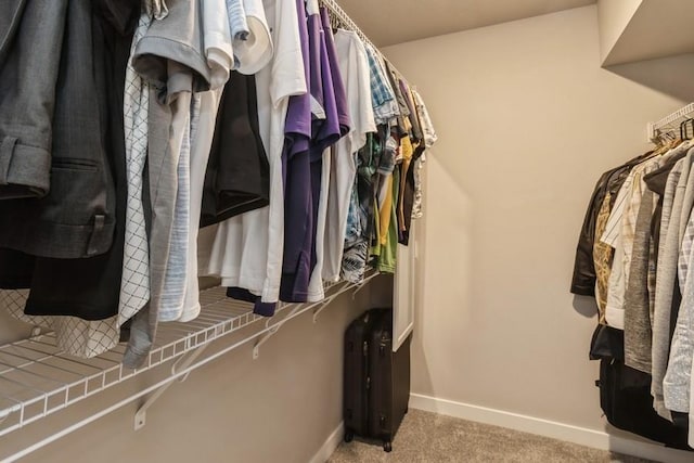 spacious closet with carpet floors