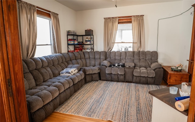 living area with wood finished floors