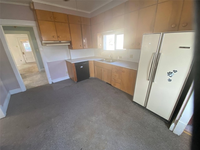 kitchen featuring under cabinet range hood, a sink, baseboards, light countertops, and freestanding refrigerator