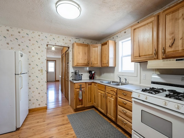 kitchen with a wealth of natural light, a sink, white appliances, under cabinet range hood, and wallpapered walls