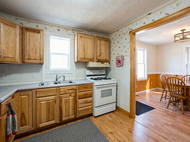 kitchen featuring white gas stove, under cabinet range hood, a sink, wainscoting, and wallpapered walls