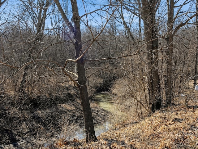 view of local wilderness with a wooded view