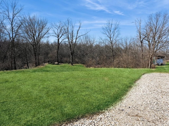 view of yard featuring a view of trees