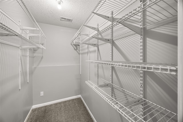 spacious closet featuring carpet flooring and visible vents