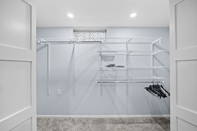 spacious closet featuring carpet floors