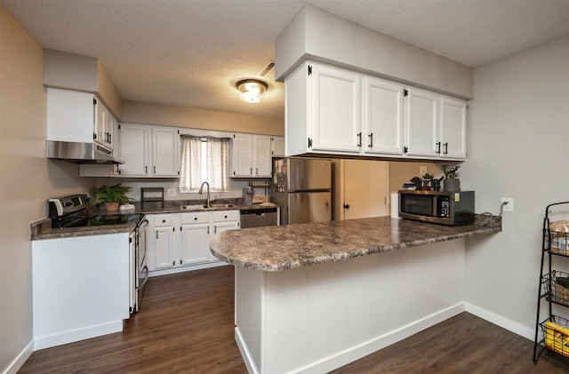 kitchen with under cabinet range hood, stainless steel appliances, a peninsula, a sink, and dark wood-style floors