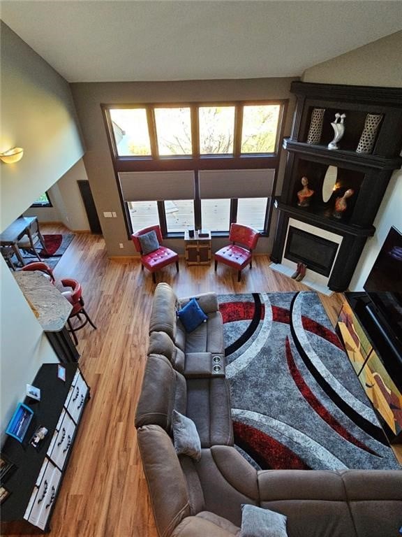 living room with a fireplace and wood finished floors