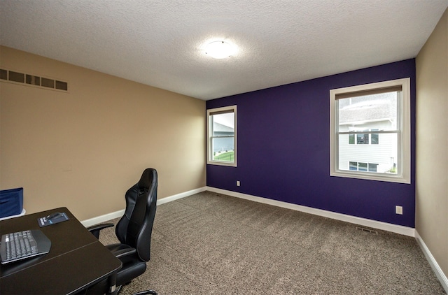 1306 NE 45th St, Ankeny, IA 50021 - carpeted home office featuring plenty of natural light, baseboards, and a textured ceiling