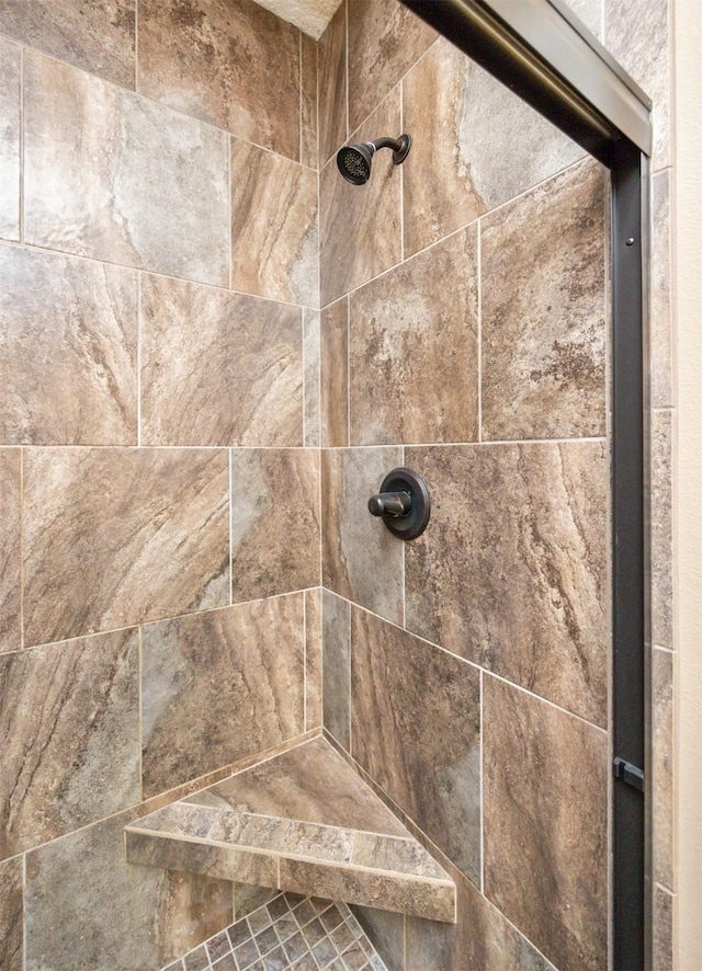 1306 NE 45th St, Ankeny, IA 50021 - bathroom view of tiled shower