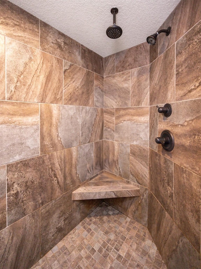 1306 NE 45th St, Ankeny, IA 50021 - bathroom view of a textured ceiling and tiled shower