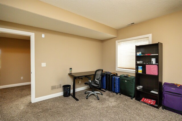 1306 NE 45th St, Ankeny, IA 50021 - office featuring carpet, baseboards, and a textured ceiling