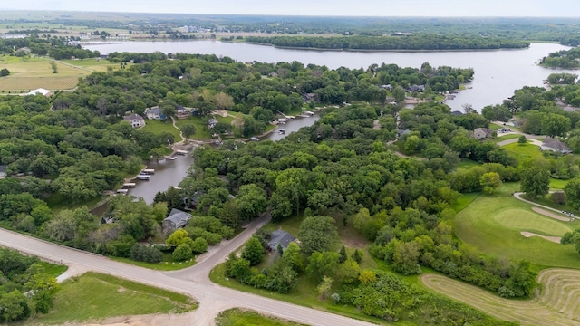 bird's eye view with a water view