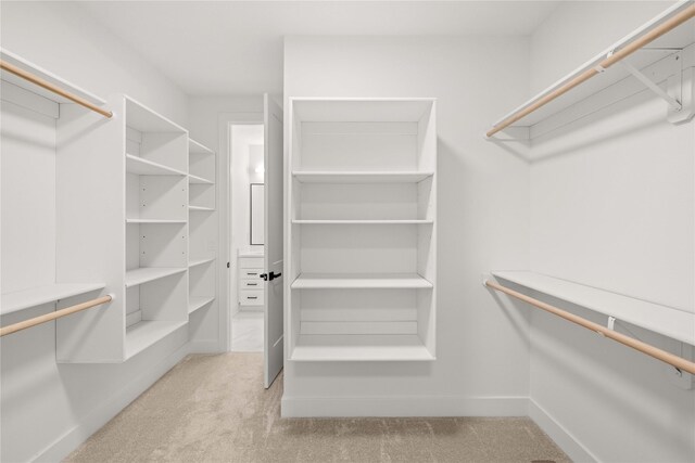 spacious closet with carpet floors