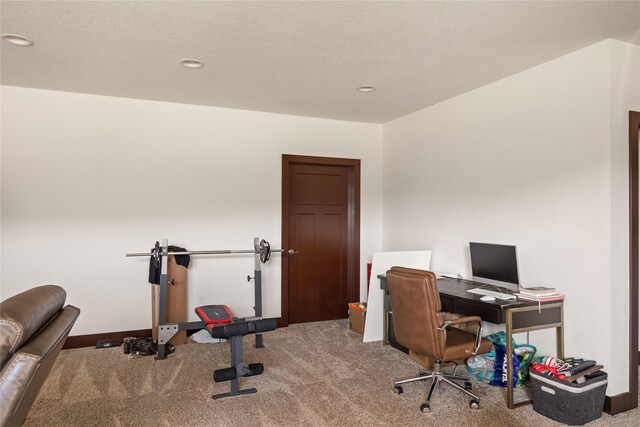 254 S 91st St, West Des Moines, IA 50266 - photo 23