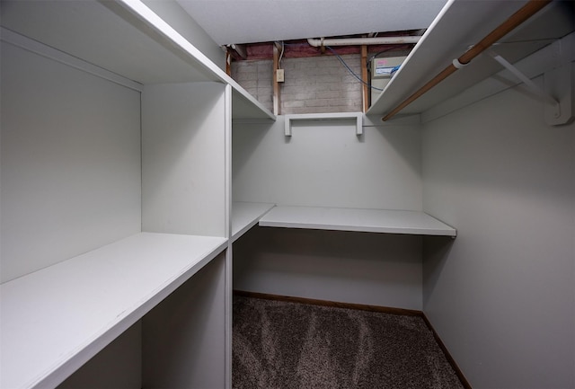 walk in closet featuring carpet flooring