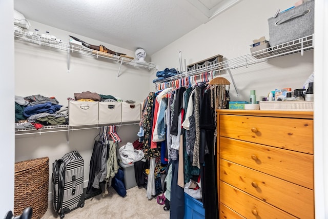 spacious closet with carpet floors