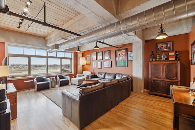 100 Market St Unit 409, 408, 407, Des Moines, IA 50309 - living room featuring light wood-style floors and rail lighting