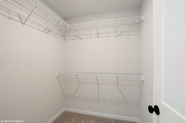 2908 Yordi Dr, Norwalk, IA 50211 - walk in closet with carpet