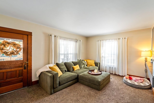 carpeted living area featuring a healthy amount of sunlight