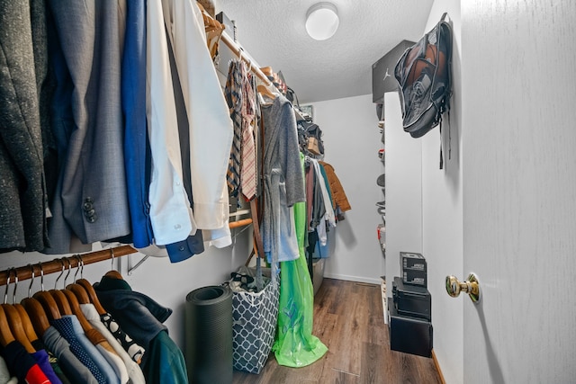 walk in closet featuring wood finished floors