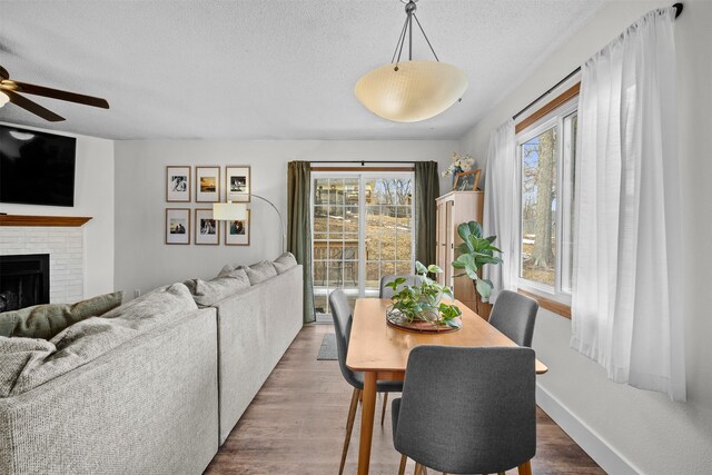 dining room with a wealth of natural light, a fireplace, a textured ceiling, and wood finished floors