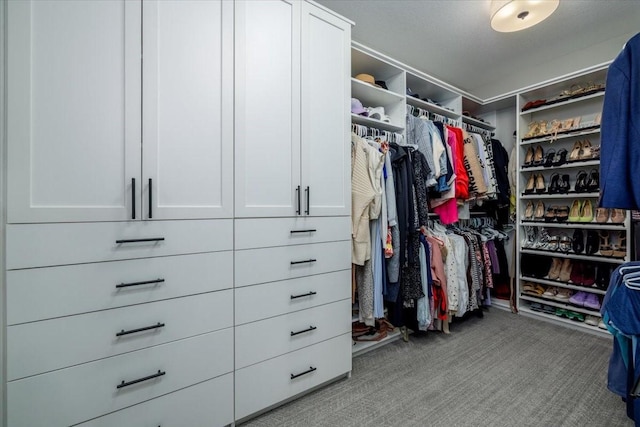 spacious closet with carpet flooring