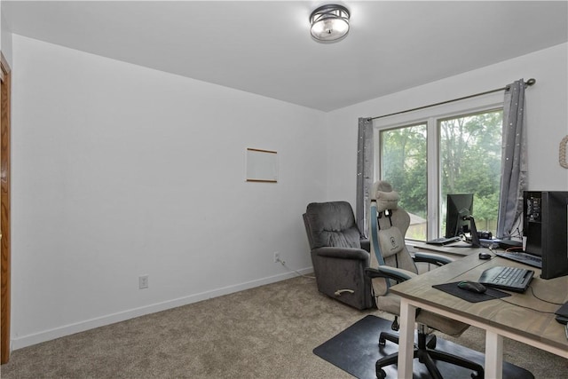 office featuring baseboards and carpet flooring