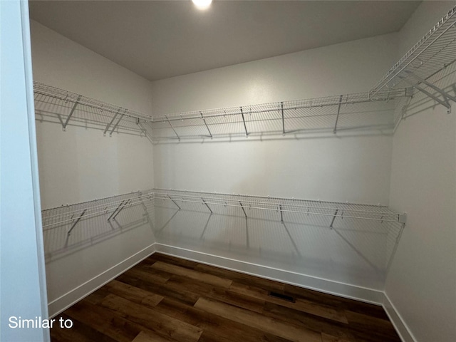 walk in closet with dark wood finished floors