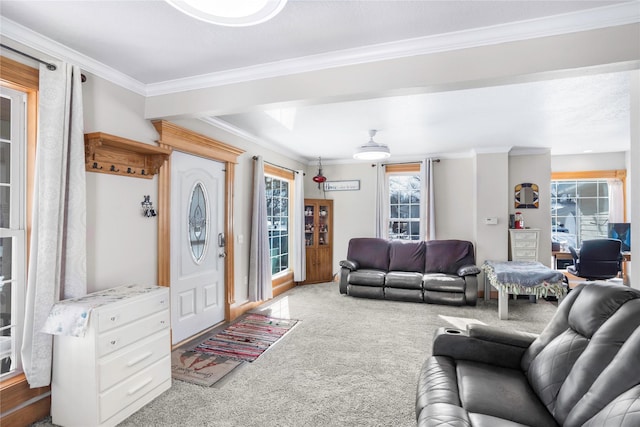 carpeted living area featuring ornamental molding