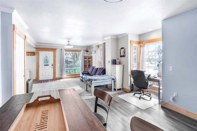 living area with a textured ceiling, wood finished floors, baseboards, and ornamental molding