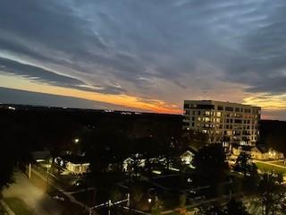 3663 Grand Ave Unit 1004, Des Moines, IA 50312 - view of city